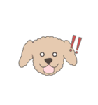英語でおしゃべりトイプードル（個別スタンプ：9）