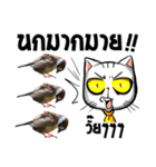 Stoii the Cat and his friends（個別スタンプ：5）