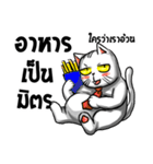 Stoii the Cat and his friends（個別スタンプ：14）