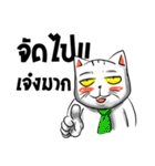Stoii the Cat and his friends（個別スタンプ：34）