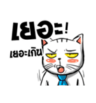 Stoii the Cat and his friends（個別スタンプ：35）