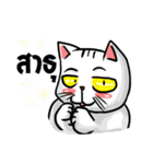 Stoii the Cat and his friends（個別スタンプ：40）