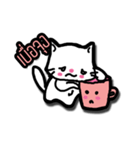 Cup and Cat（個別スタンプ：13）