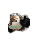 My Darling Sons（個別スタンプ：4）