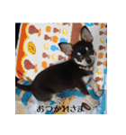 My Darling Sons（個別スタンプ：15）