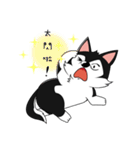 Little Husky - Manqi debut（個別スタンプ：4）