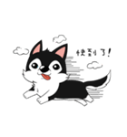 Little Husky - Manqi debut（個別スタンプ：5）