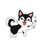 Little Husky - Manqi debut（個別スタンプ：7）