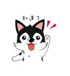 Little Husky - Manqi debut（個別スタンプ：8）
