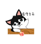 Little Husky - Manqi debut（個別スタンプ：9）