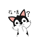 Little Husky - Manqi debut（個別スタンプ：15）