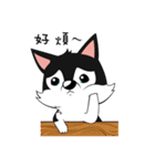 Little Husky - Manqi debut（個別スタンプ：30）