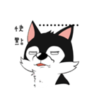 Little Husky - Manqi debut（個別スタンプ：34）
