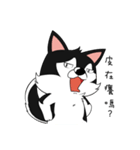 Little Husky - Manqi debut（個別スタンプ：37）