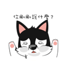 Little Husky - Manqi debut（個別スタンプ：38）