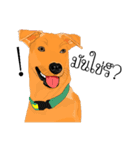 Cool Dog（個別スタンプ：2）