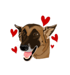 Cool Dog（個別スタンプ：5）