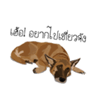 Cool Dog（個別スタンプ：6）