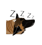 Cool Dog（個別スタンプ：7）