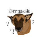 Cool Dog（個別スタンプ：8）