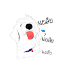 Cool Dog（個別スタンプ：11）