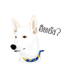 Cool Dog（個別スタンプ：16）