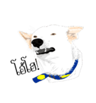 Cool Dog（個別スタンプ：18）