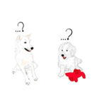 Cool Dog（個別スタンプ：19）