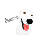Cool Dog（個別スタンプ：20）