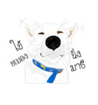 Cool Dog（個別スタンプ：22）