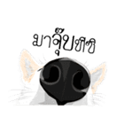 Cool Dog（個別スタンプ：23）
