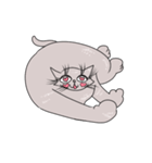 小顔猫（個別スタンプ：1）