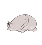 小顔猫（個別スタンプ：2）