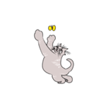 小顔猫（個別スタンプ：3）