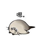 A king of juicy fishcat！！（個別スタンプ：4）