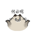 A king of juicy fishcat！！（個別スタンプ：28）