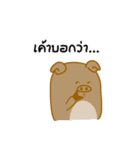 investor pig（個別スタンプ：25）