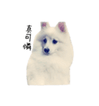 Spitz Kuma's face time（個別スタンプ：11）