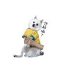 Spitz Kuma's face time（個別スタンプ：26）