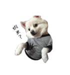 Spitz Kuma's face time（個別スタンプ：29）