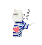 Spitz Kuma's face time（個別スタンプ：40）