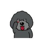 黒犬の日常生活（個別スタンプ：3）