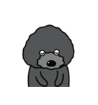黒犬の日常生活（個別スタンプ：7）