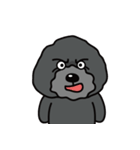 黒犬の日常生活（個別スタンプ：8）