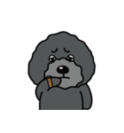 黒犬の日常生活（個別スタンプ：9）