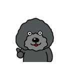 黒犬の日常生活（個別スタンプ：11）
