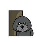 黒犬の日常生活（個別スタンプ：14）