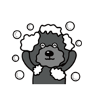 黒犬の日常生活（個別スタンプ：27）