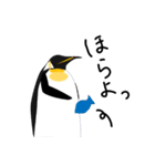 博多に住む皇帝ペンギンの親子（個別スタンプ：5）
