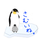 博多に住む皇帝ペンギンの親子（個別スタンプ：22）